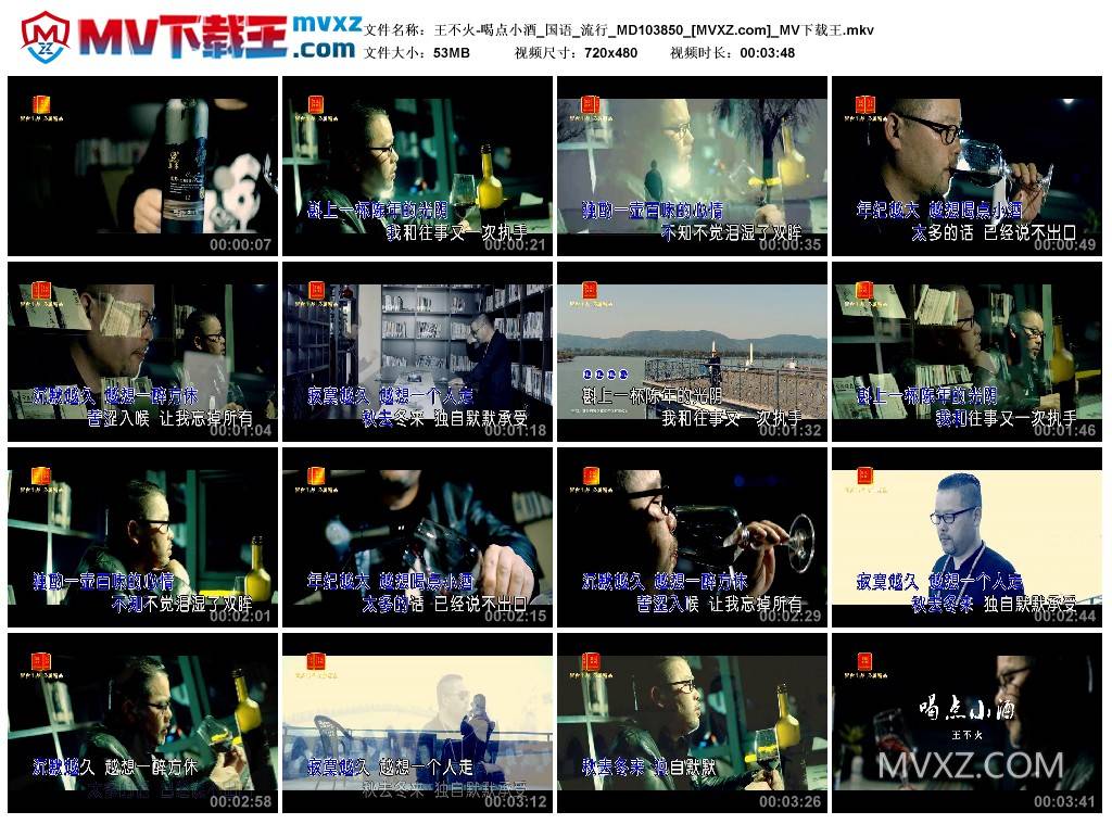 王不火-喝点小酒_国语_流行_MD103850